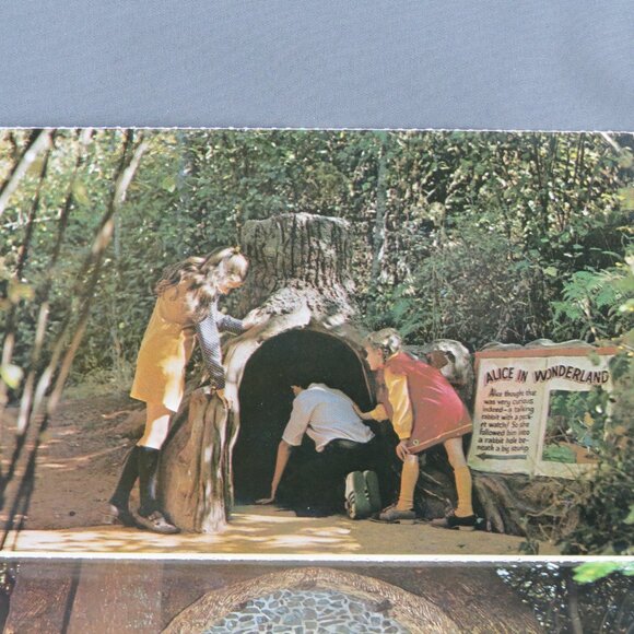 Vintage Postcard Set - Enchanted Forest Turner Oregon 6 Pack - Dexter Press - Picture 3 of 7